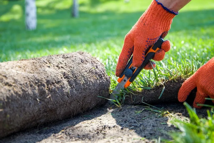 Jardiniers SAP Le Bosc