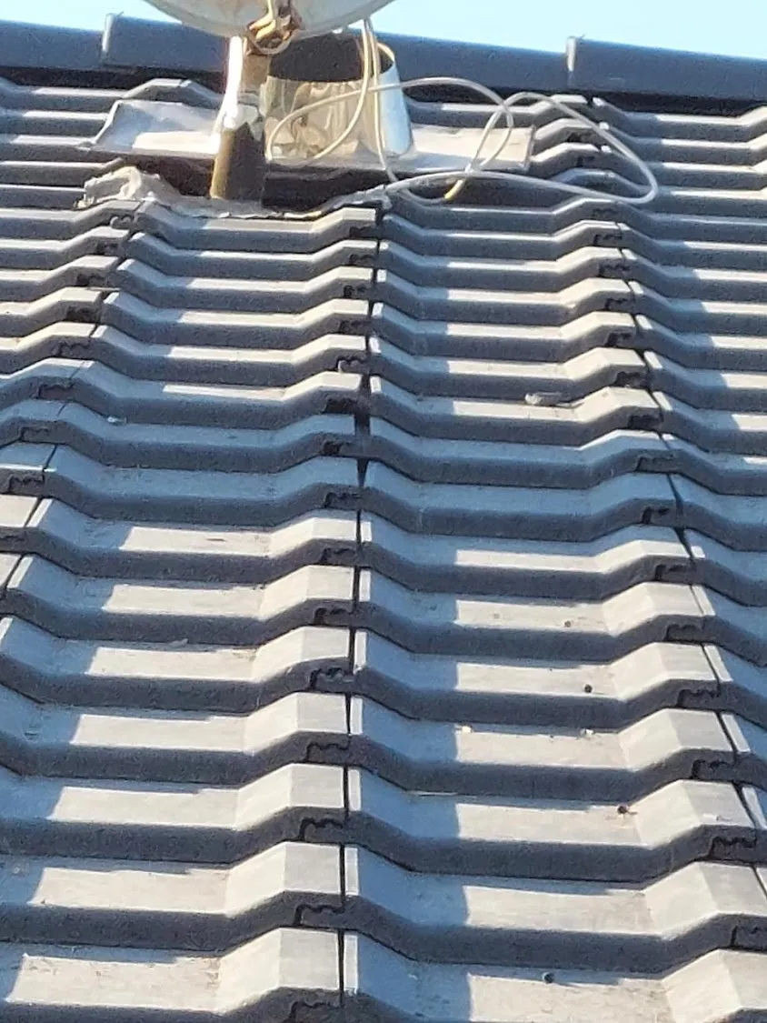 Aquitaine Maison Bois