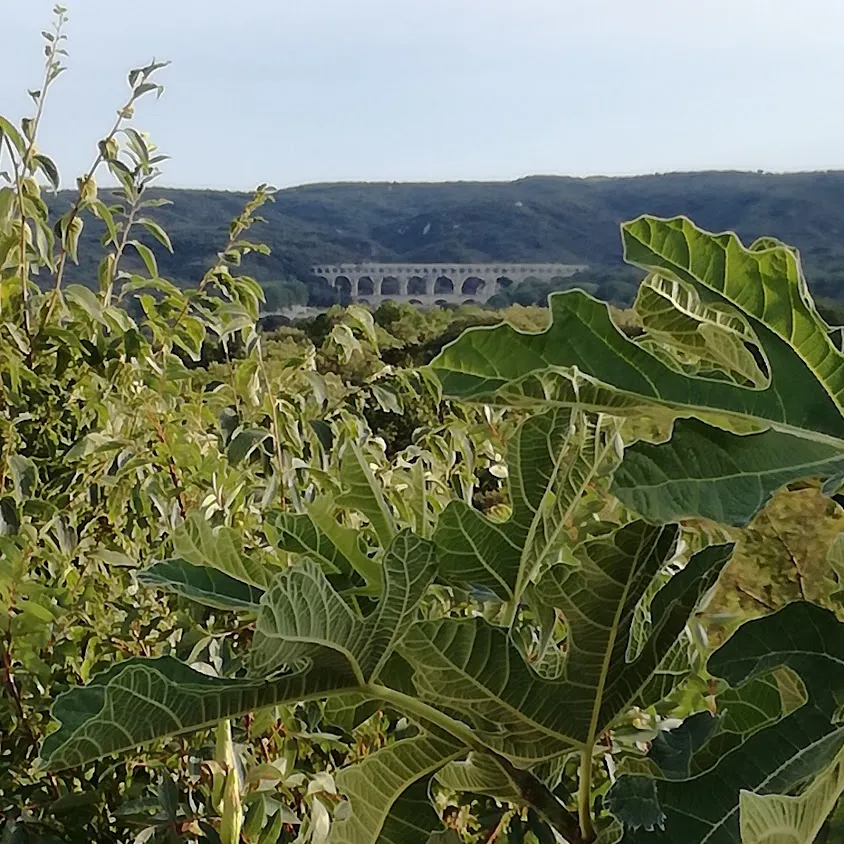 Castillon 30