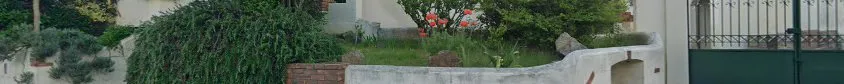 TBTP