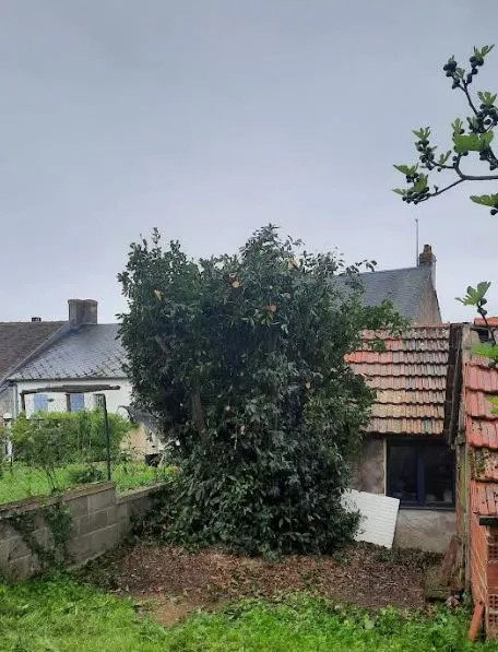 Mayer Paysage (entretien de jardin, élagage dans la Nièvre)