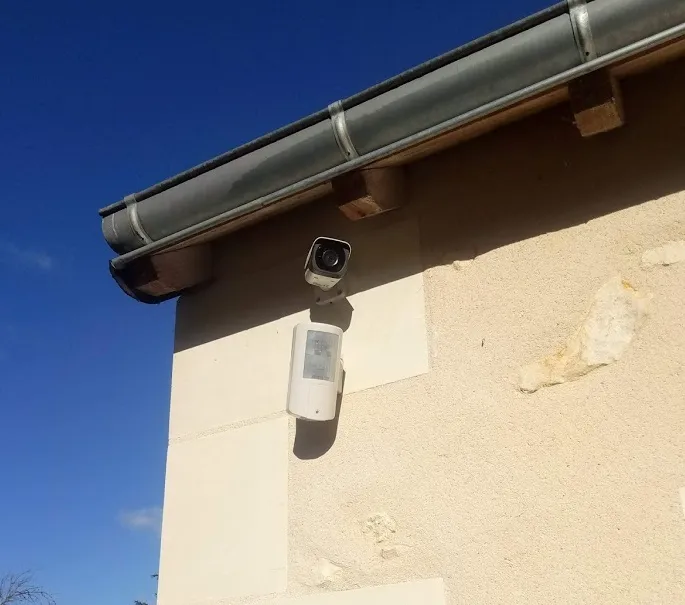 Autosurveillance