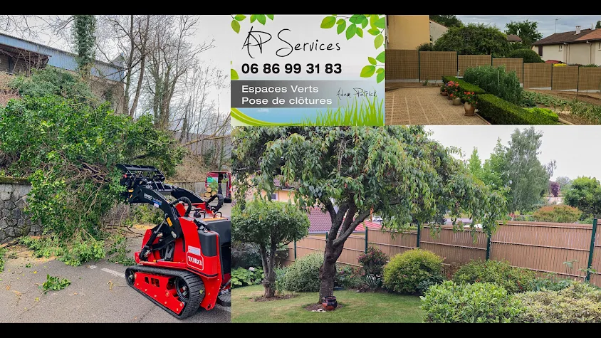 AP SERVICES