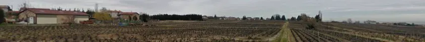 Ducroux Béatrice