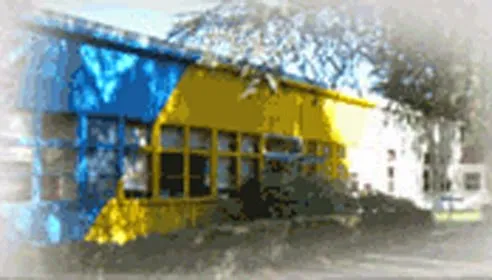 BORFLEX Composites