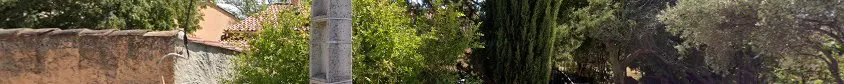 Allamanda Parc Élagage