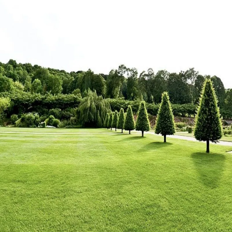 Mandairon Parcs et Jardins