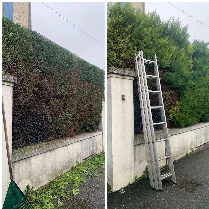 Entretien Jardin47 – Élagueur & Paysagiste à Agen