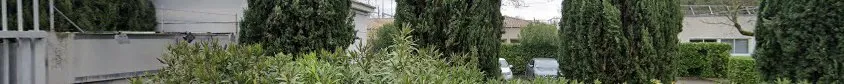 RTE EMASI GMR CEV