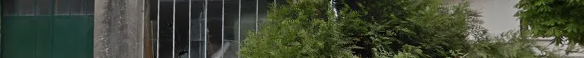 Orgelet Services Maisons et Jardins