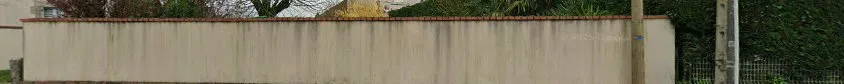 Mrcn