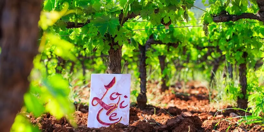 Domaine Lolicé