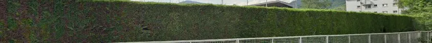 Monte-escalier Installateur