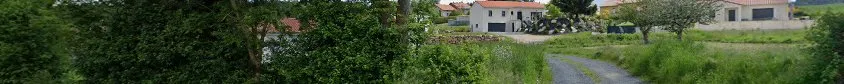 Ramonage 43
