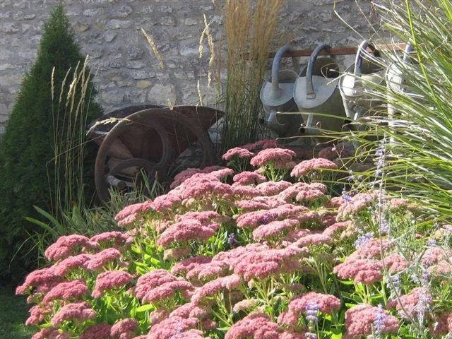 Jardin Passion Paysage
