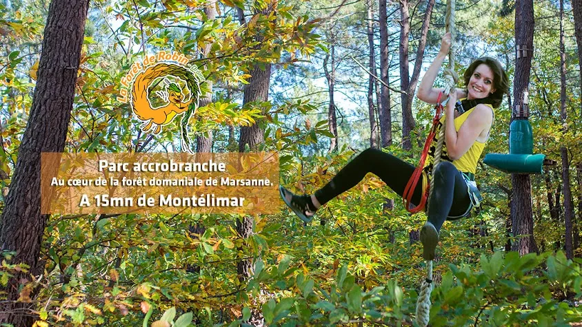 Accrobranche La Forêt de Robin
