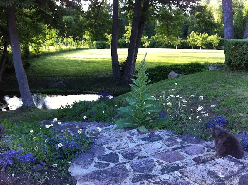 MAJORDOME MAISON & JARDIN