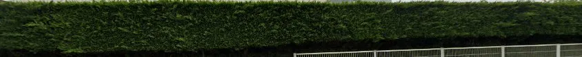 Lesage franck