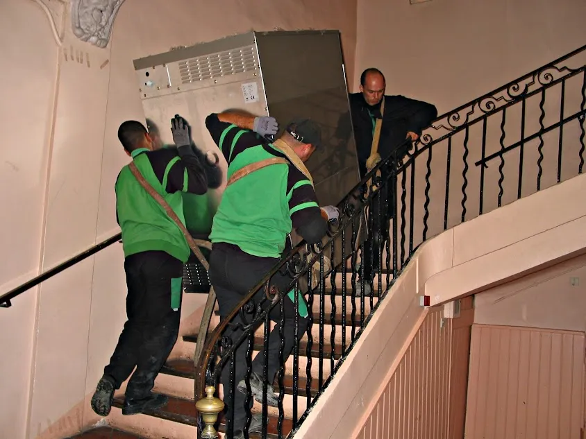 BOVIS ESCOLAN