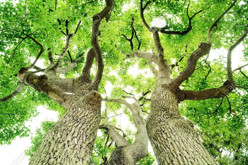 Grand'Eure Nature