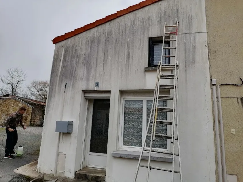HM Renovation