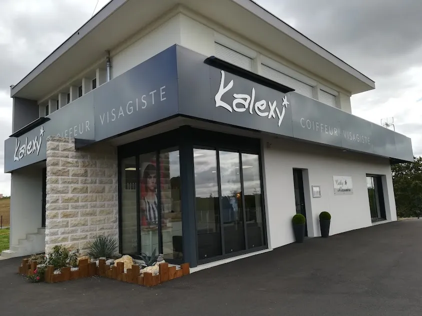 Kalexy