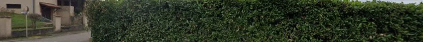 Lugdunum Ascenseurs