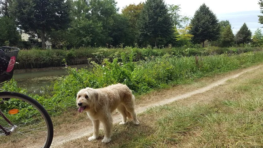 Lafferrière