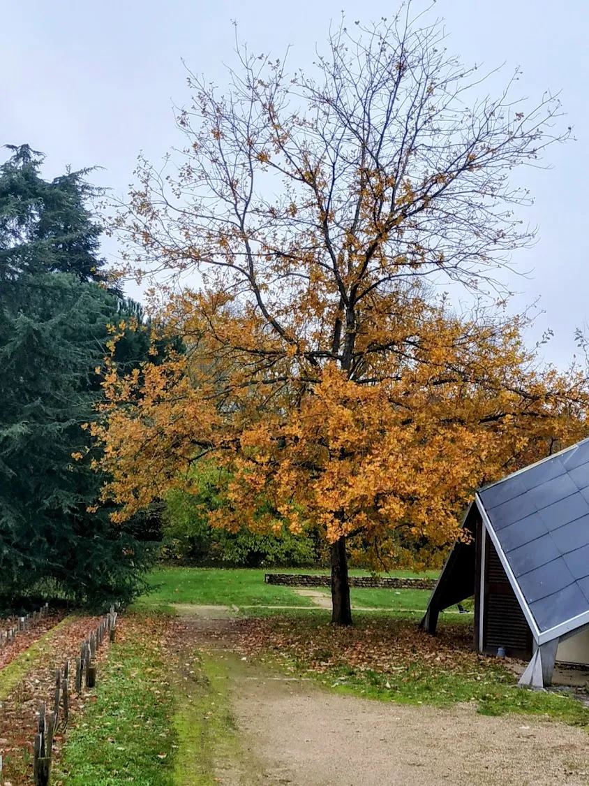 Verrières-le-Buisson