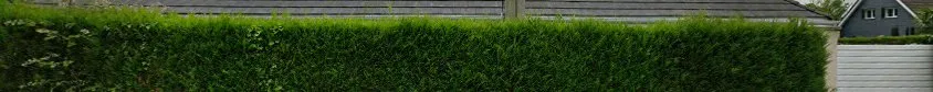 Armonia TP - Terrassement et assainissement