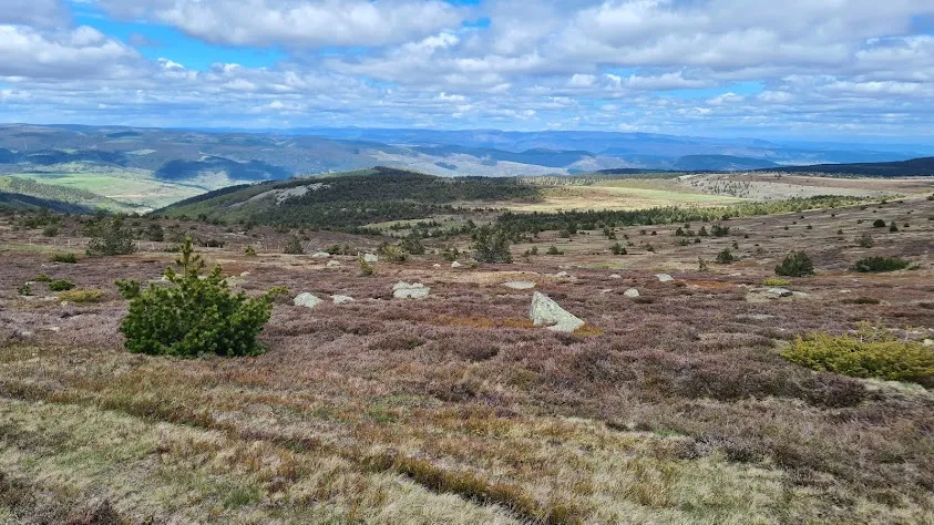 Mont Lozère et Goulet